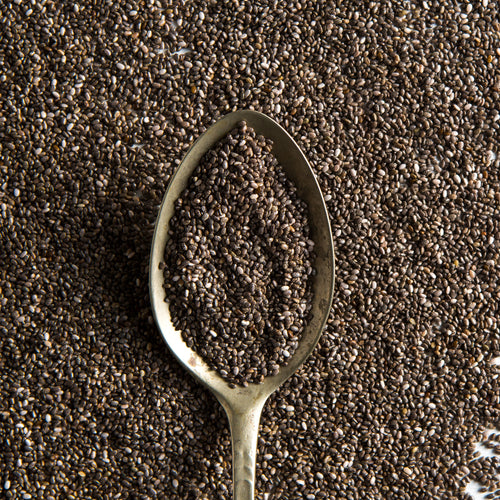 Organic Black Chia Seeds (16 OZ)